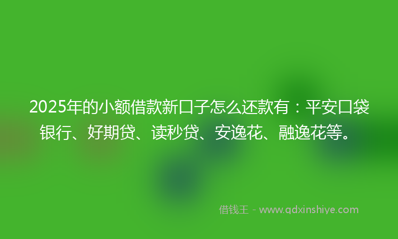 2025年的小额借款新口子怎么还款有：平安口袋银行、好期贷、读秒贷、安逸花、融逸花等。
