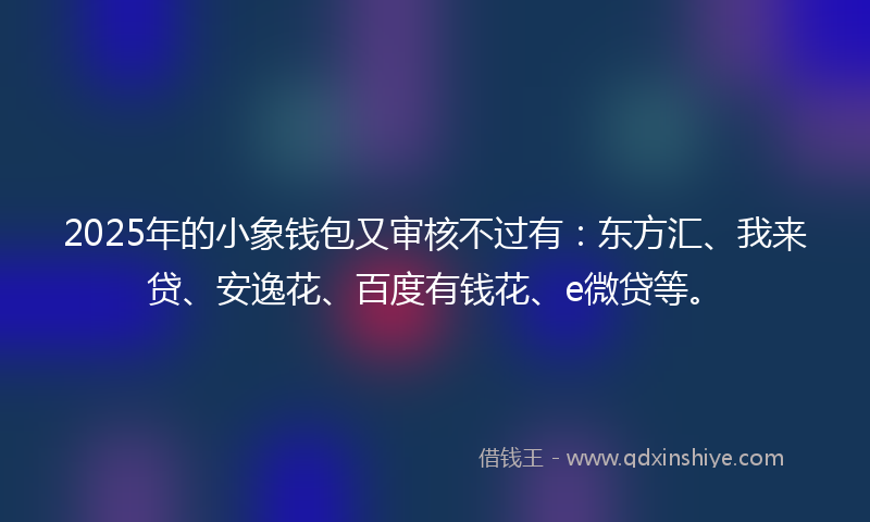 2025年的小象钱包又审核不过有：东方汇、我来贷、安逸花、百度有钱花、e微贷等。