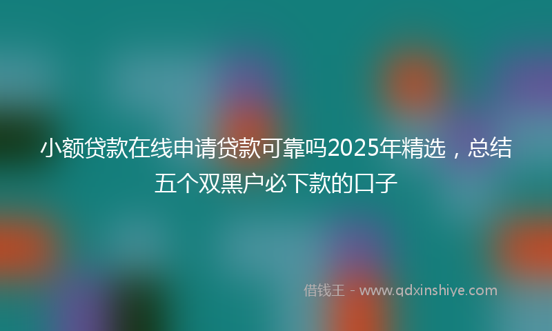 小额贷款在线申请贷款可靠吗2025年精选，总结五个双黑户必下款的口子