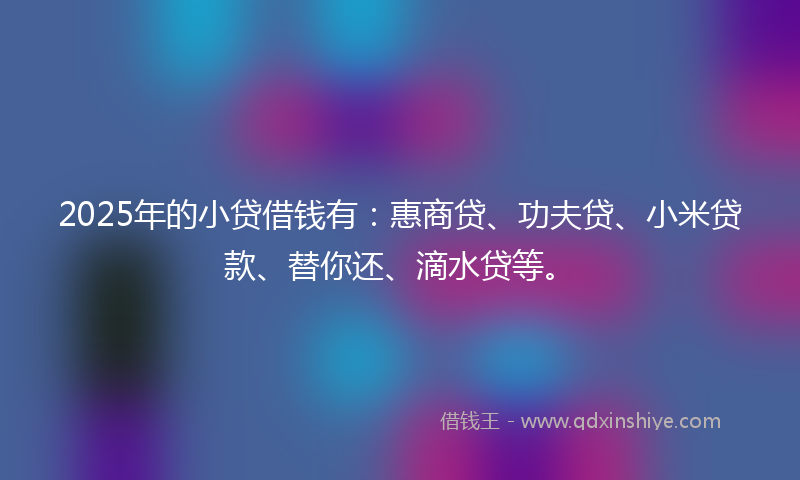 2025年的小贷借钱有：惠商贷、功夫贷、小米贷款、替你还、滴水贷等。