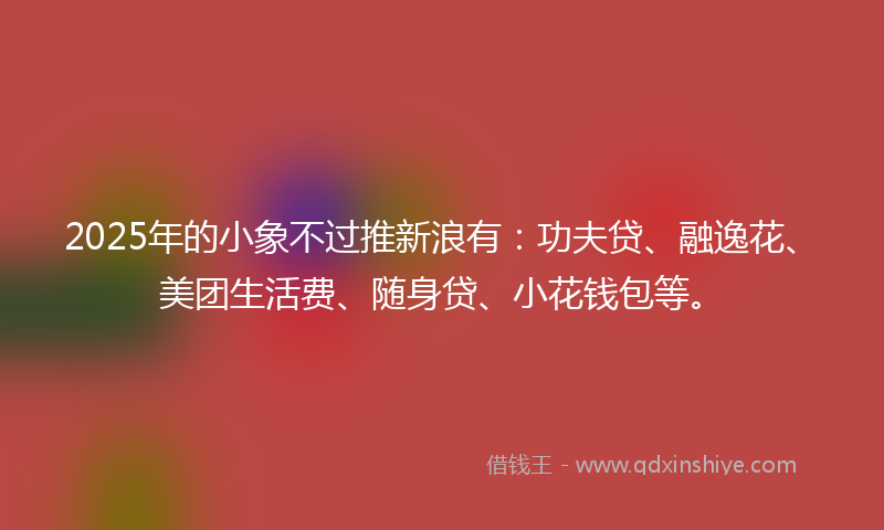 2025年的小象不过推新浪有：功夫贷、融逸花、美团生活费、随身贷、小花钱包等。