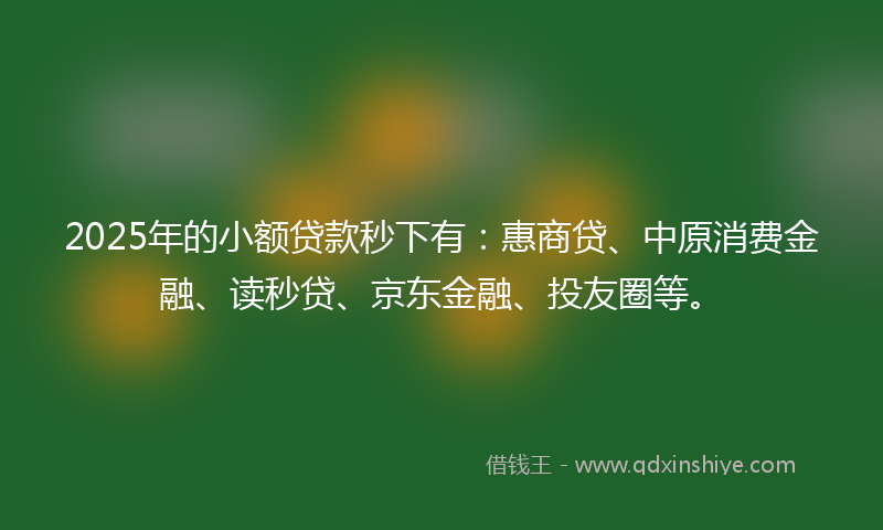 2025年的小额贷款秒下有：惠商贷、中原消费金融、读秒贷、京东金融、投友圈等。