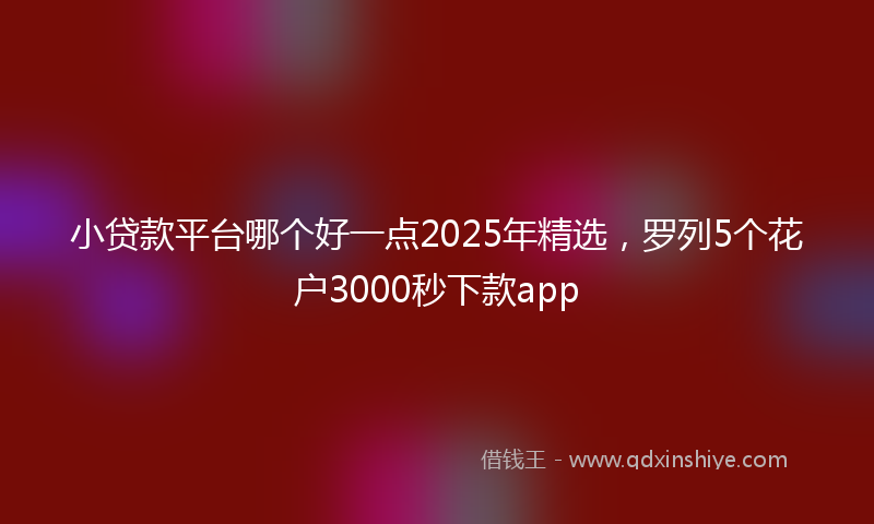 小贷款平台哪个好一点2025年精选，罗列5个花户3000秒下款app
