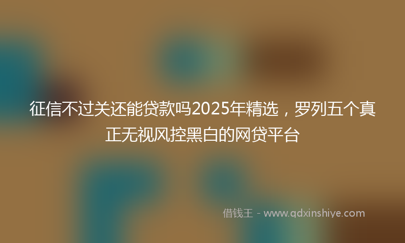 征信不过关还能贷款吗2025年精选，罗列五个真正无视风控黑白的网贷平台
