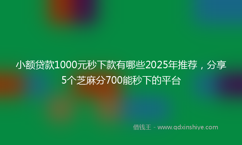 小额贷款1000元秒下款有哪些2025年推荐，分享5个芝麻分700能秒下的平台