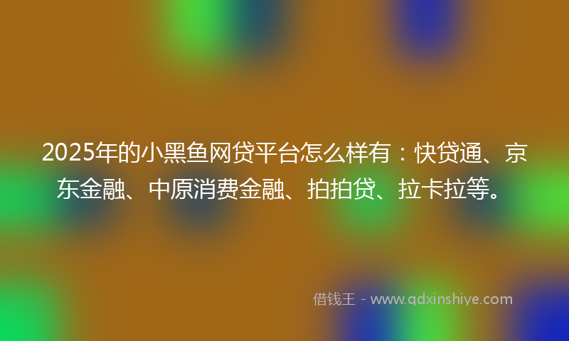 2025年的小黑鱼网贷平台怎么样有：快贷通、京东金融、中原消费金融、拍拍贷、拉卡拉等。