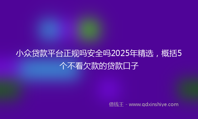 小众贷款平台正规吗安全吗2025年精选，概括5个不看欠款的贷款口子
