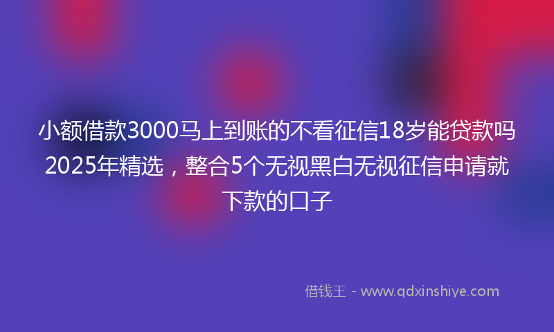 小额借款3000马上到账的不看征信18岁能贷款吗2025年精选，整合5个无视黑白无视征信申请就下款的口子