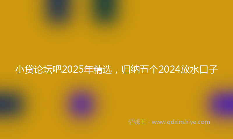 小贷论坛吧2025年精选，归纳五个2024放水口子