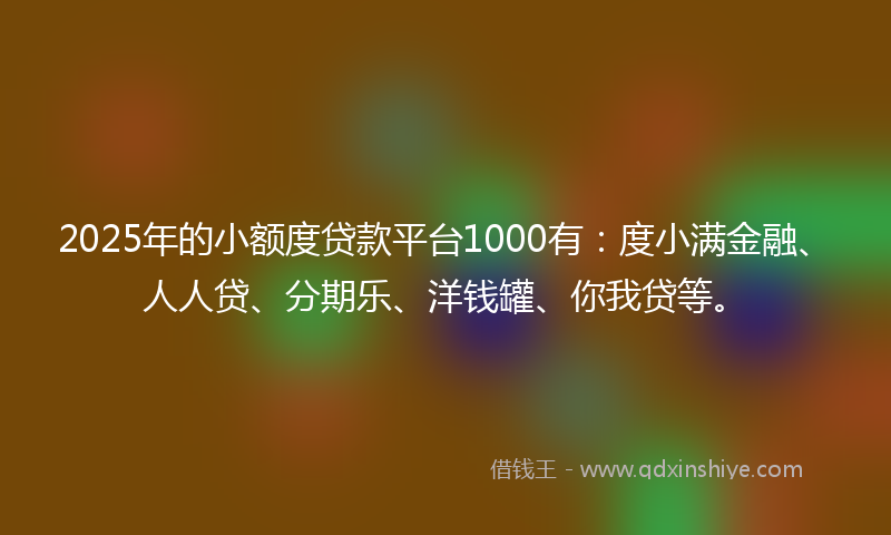 2025年的小额度贷款平台1000有：度小满金融、人人贷、分期乐、洋钱罐、你我贷等。