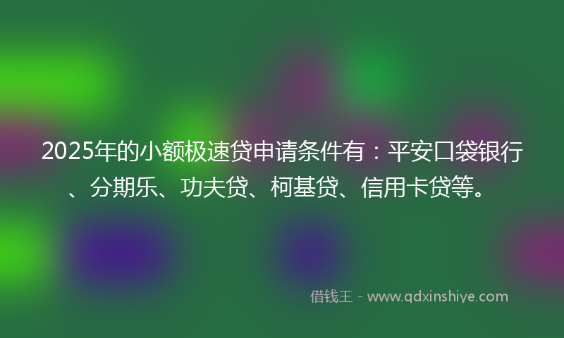 2025年的小额极速贷申请条件有：平安口袋银行、分期乐、功夫贷、柯基贷、信用卡贷等。