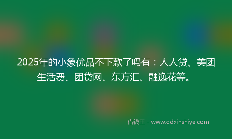 2025年的小象优品不下款了吗有：人人贷、美团生活费、团贷网、东方汇、融逸花等。