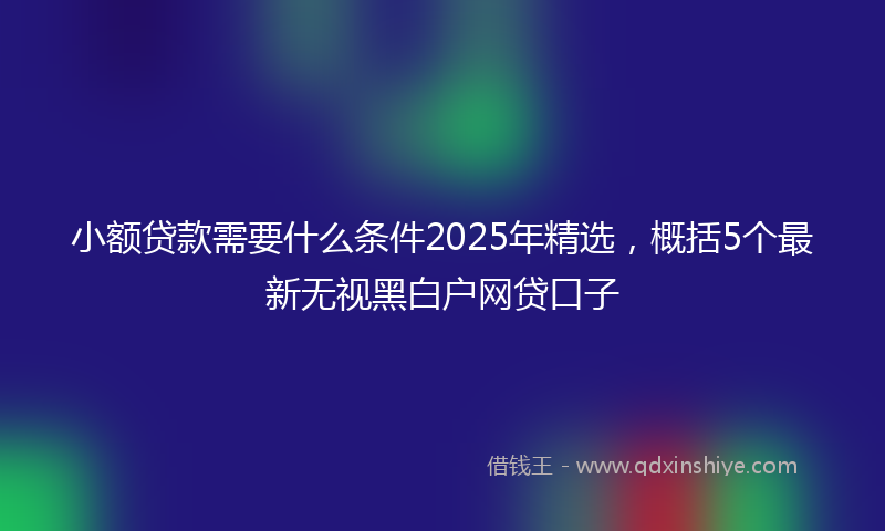 小额贷款需要什么条件2025年精选，概括5个最新无视黑白户网贷口子