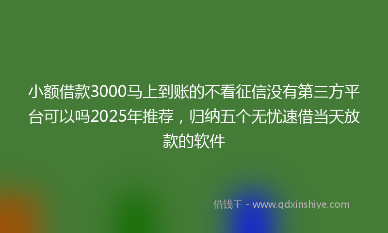 小额借款3000马上到账的不看征信没有第三方平台可以吗2025年推荐，归纳五个无忧速借当天放款的软件