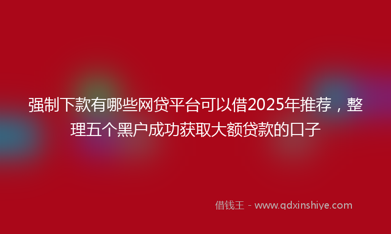 强制下款有哪些网贷平台可以借2025年推荐，整理五个黑户成功获取大额贷款的口子