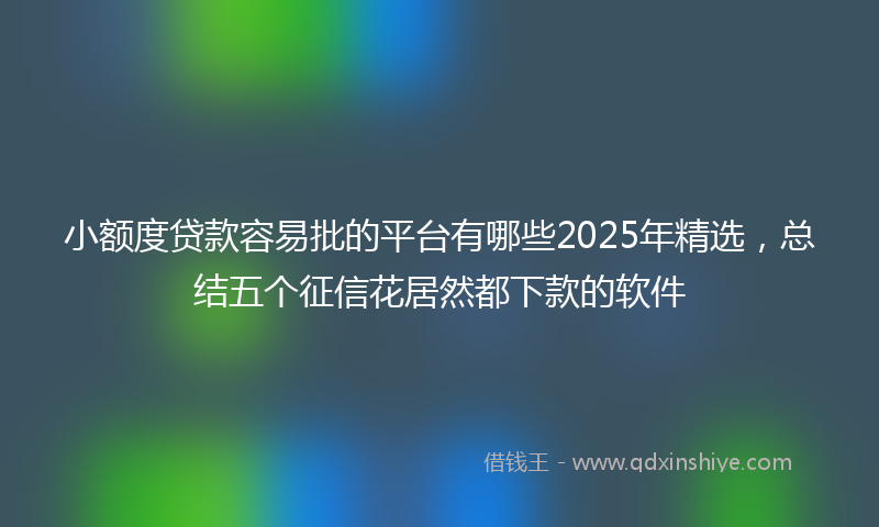 小额度贷款容易批的平台有哪些2025年精选，总结五个征信花居然都下款的软件
