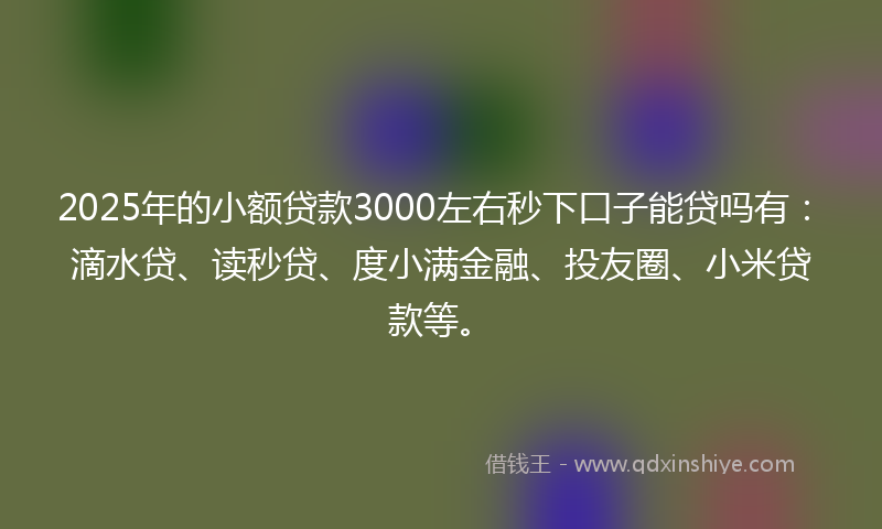 2025年的小额贷款3000左右秒下口子能贷吗有：滴水贷、读秒贷、度小满金融、投友圈、小米贷款等。