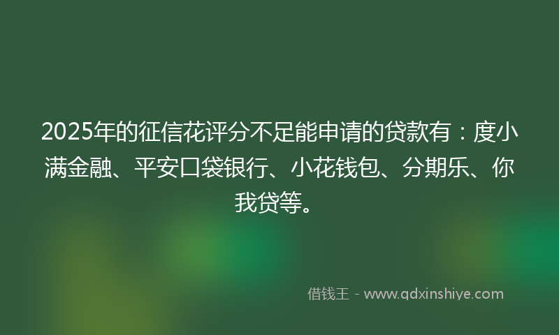2025年的征信花评分不足能申请的贷款有：度小满金融、平安口袋银行、小花钱包、分期乐、你我贷等。
