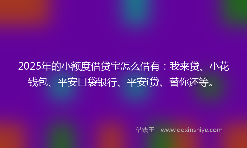 2025年的小额度借贷宝怎么借有：我来贷、小花钱包、平安口袋银行、平安i贷、替你还等。