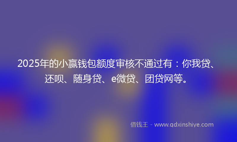 2025年的小赢钱包额度审核不通过有：你我贷、还呗、随身贷、e微贷、团贷网等。