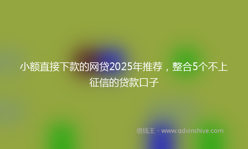 小额直接下款的网贷2025年推荐，整合5个不上征信的贷款口子