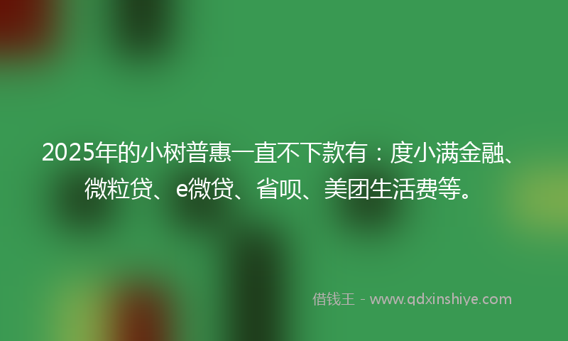 2025年的小树普惠一直不下款有：度小满金融、微粒贷、e微贷、省呗、美团生活费等。