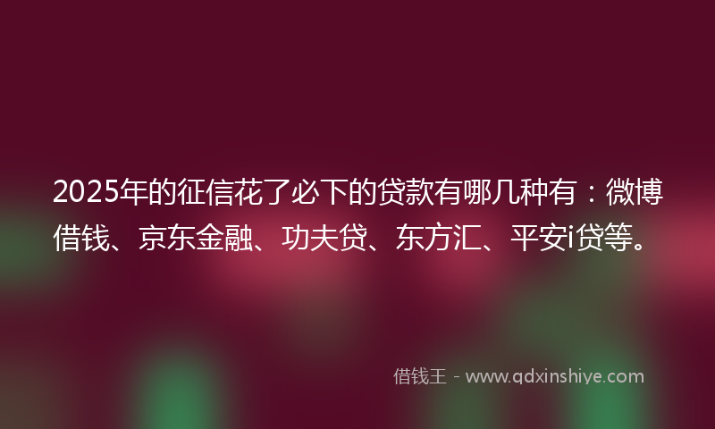 2025年的征信花了必下的贷款有哪几种有：微博借钱、京东金融、功夫贷、东方汇、平安i贷等。