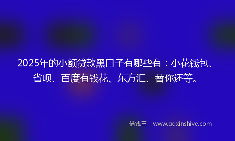 2025年的小额贷款黑口子有哪些有：小花钱包、省呗、百度有钱花、东方汇、替你还等。