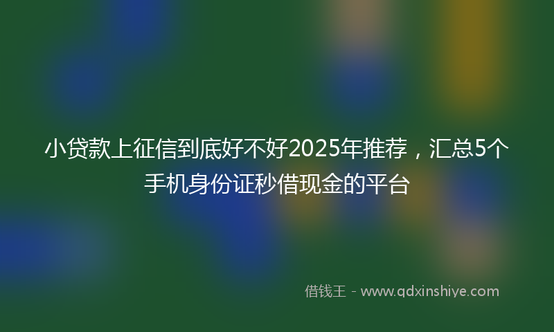 小贷款上征信到底好不好2025年推荐，汇总5个手机身份证秒借现金的平台