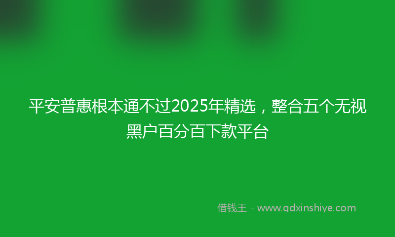 平安普惠根本通不过2025年精选，整合五个无视黑户百分百下款平台