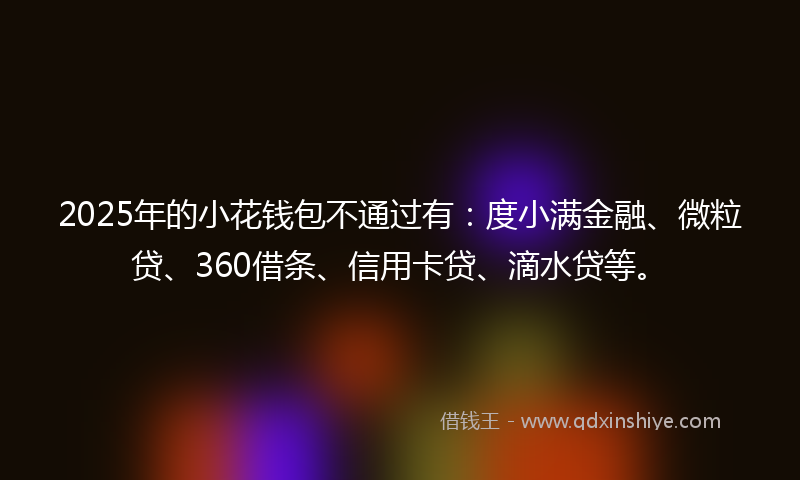 2025年的小花钱包不通过有：度小满金融、微粒贷、360借条、信用卡贷、滴水贷等。