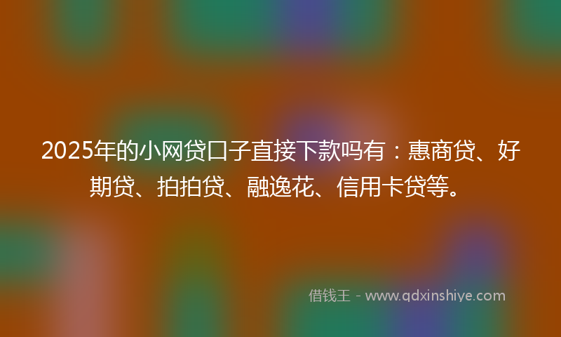 2025年的小网贷口子直接下款吗有：惠商贷、好期贷、拍拍贷、融逸花、信用卡贷等。