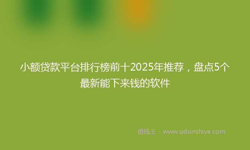 小额贷款平台排行榜前十2025年推荐，盘点5个最新能下来钱的软件