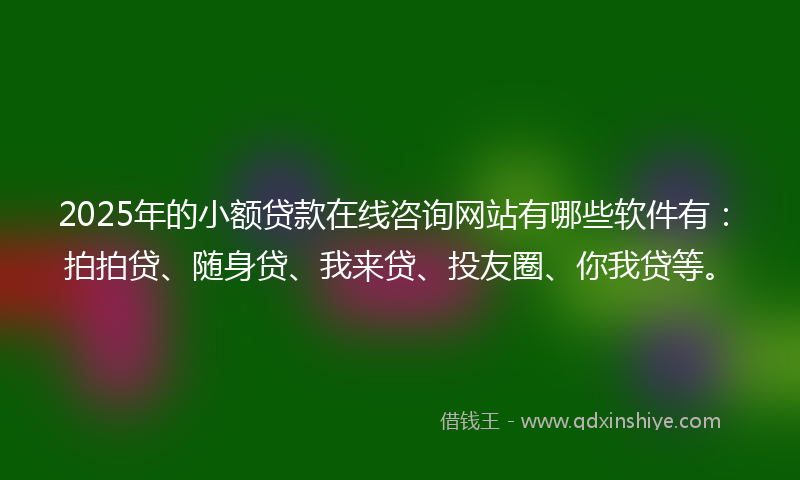 2025年的小额贷款在线咨询网站有哪些软件有：拍拍贷、随身贷、我来贷、投友圈、你我贷等。