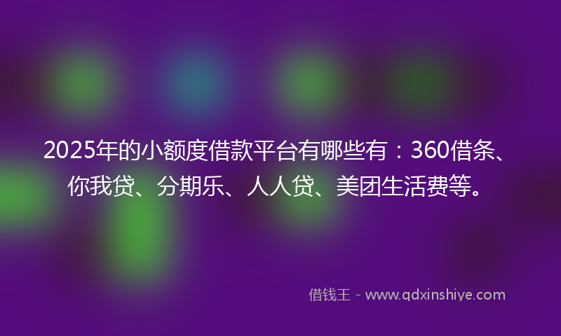 2025年的小额度借款平台有哪些有：360借条、你我贷、分期乐、人人贷、美团生活费等。
