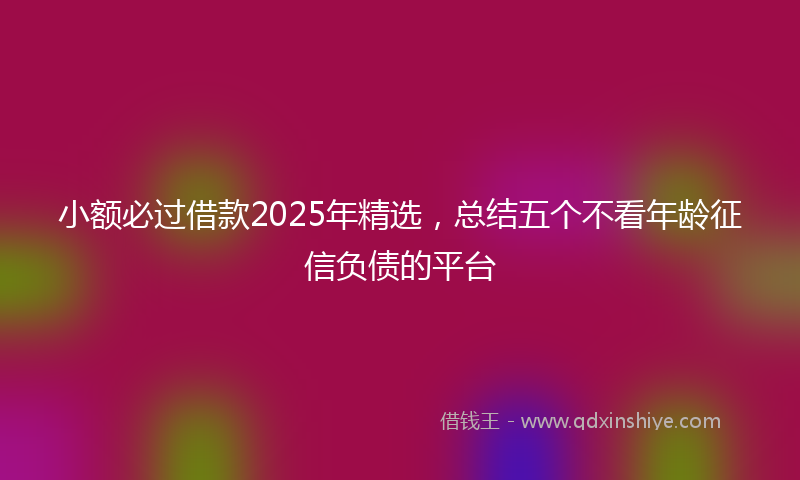 小额必过借款2025年精选，总结五个不看年龄征信负债的平台