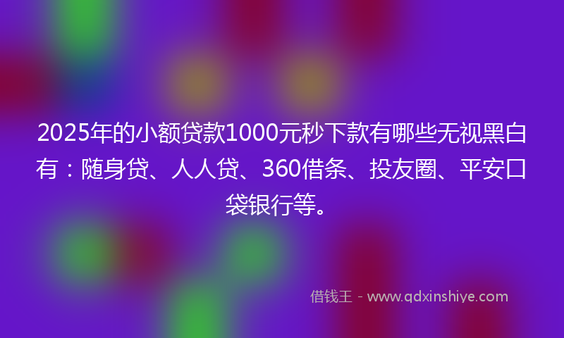 2025年的小额贷款1000元秒下款有哪些无视黑白有：随身贷、人人贷、360借条、投友圈、平安口袋银行等。