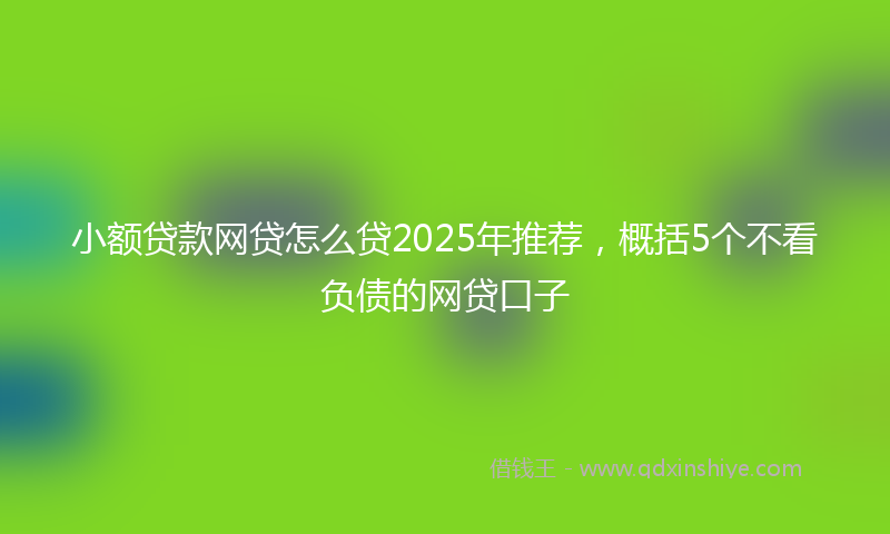 小额贷款网贷怎么贷2025年推荐，概括5个不看负债的网贷口子