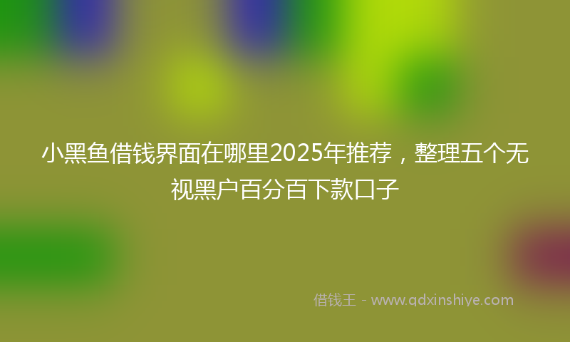 小黑鱼借钱界面在哪里2025年推荐，整理五个无视黑户百分百下款口子