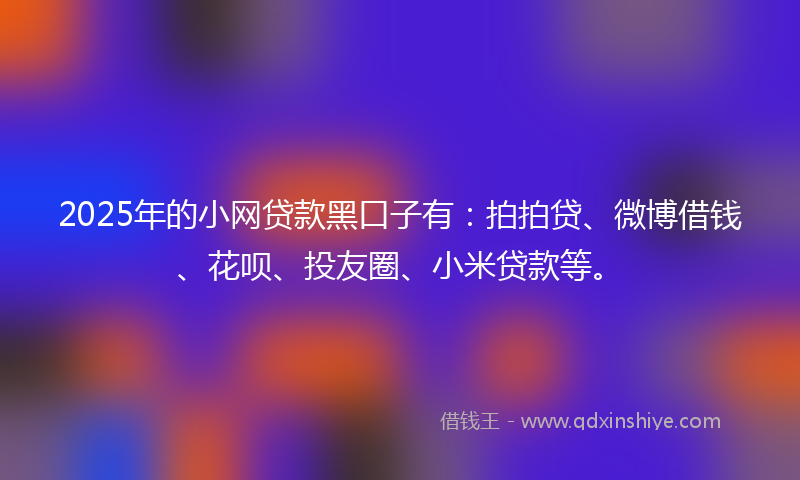 2025年的小网贷款黑口子有：拍拍贷、微博借钱、花呗、投友圈、小米贷款等。