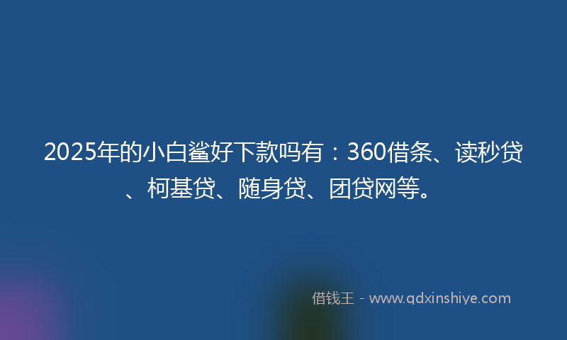 2025年的小白鲨好下款吗有：360借条、读秒贷、柯基贷、随身贷、团贷网等。