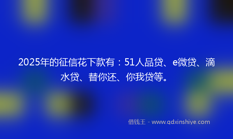 2025年的征信花下款有：51人品贷、e微贷、滴水贷、替你还、你我贷等。