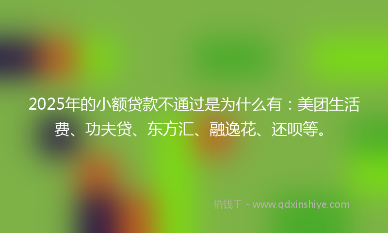 2025年的小额贷款不通过是为什么有：美团生活费、功夫贷、东方汇、融逸花、还呗等。