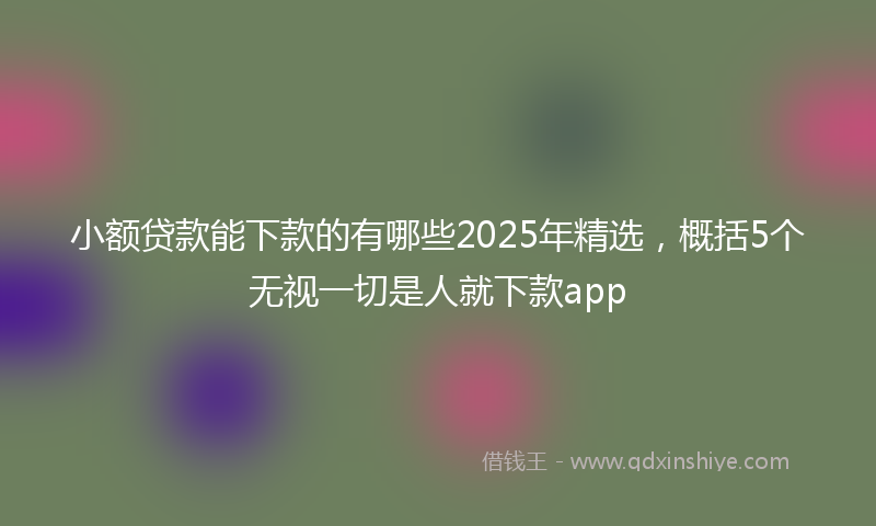 小额贷款能下款的有哪些2025年精选，概括5个无视一切是人就下款app