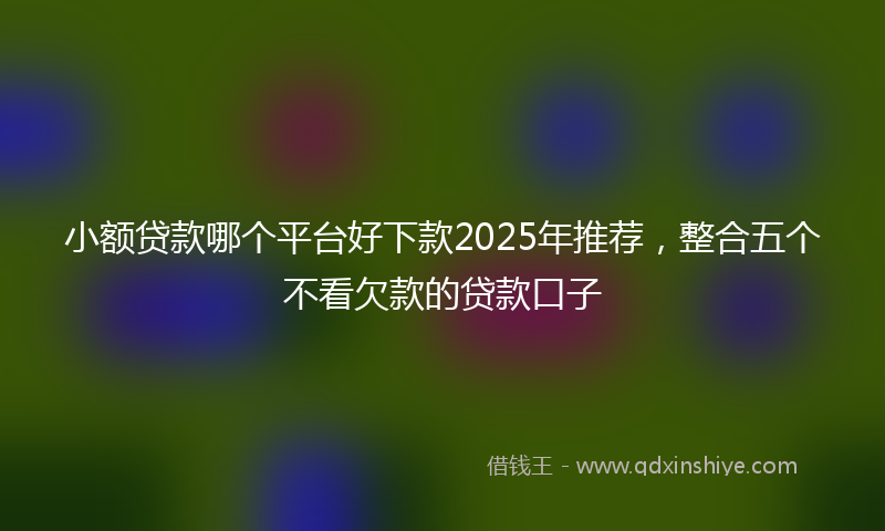 小额贷款哪个平台好下款2025年推荐，整合五个不看欠款的贷款口子