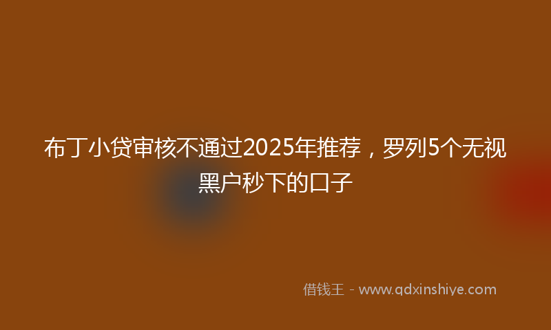布丁小贷审核不通过2025年推荐，罗列5个无视黑户秒下的口子