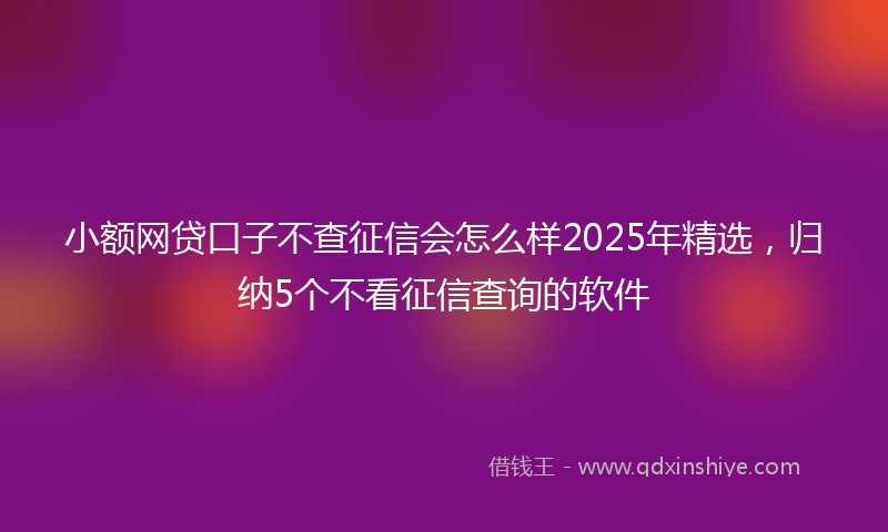 小额网贷口子不查征信会怎么样2025年精选，归纳5个不看征信查询的软件
