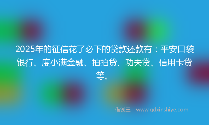 2025年的征信花了必下的贷款还款有：平安口袋银行、度小满金融、拍拍贷、功夫贷、信用卡贷等。
