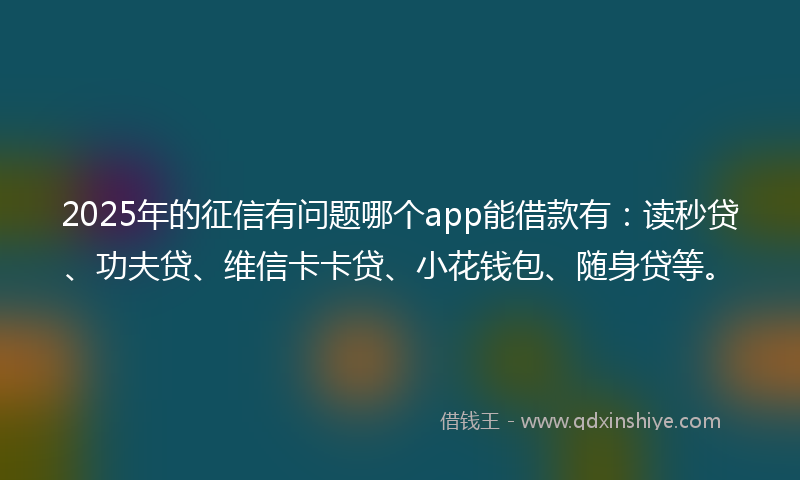 2025年的征信有问题哪个app能借款有：读秒贷、功夫贷、维信卡卡贷、小花钱包、随身贷等。