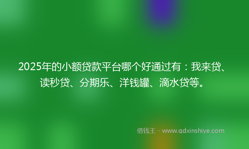 2025年的小额贷款平台哪个好通过有：我来贷、读秒贷、分期乐、洋钱罐、滴水贷等。